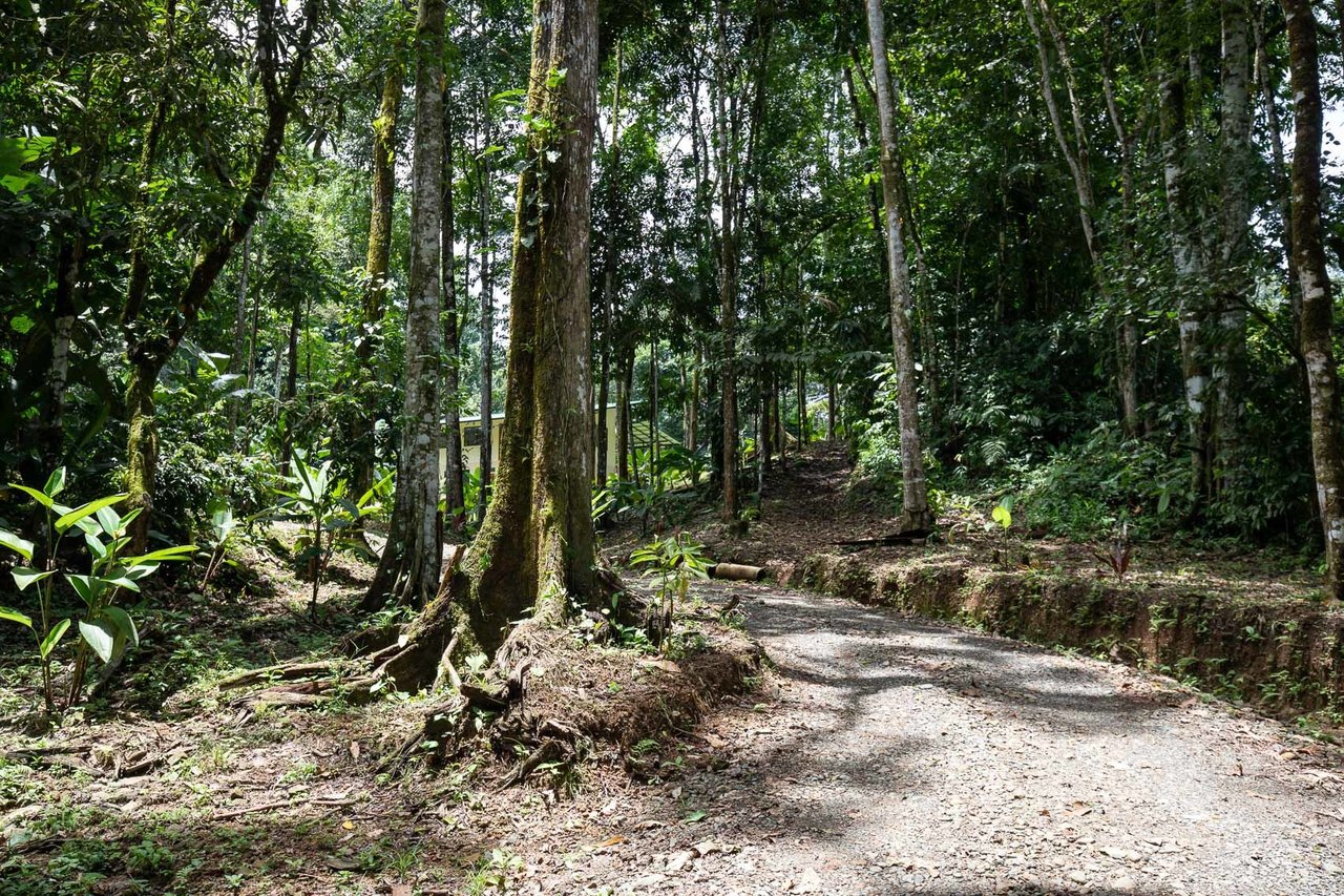 Riverfront Food Forest Estate, Perez Zeledon, San Jose