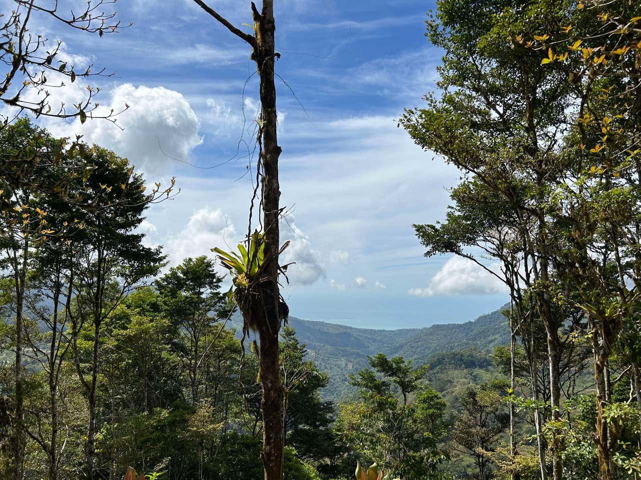Whale Tail, Ocean & Mountain View lot in San Luis.
