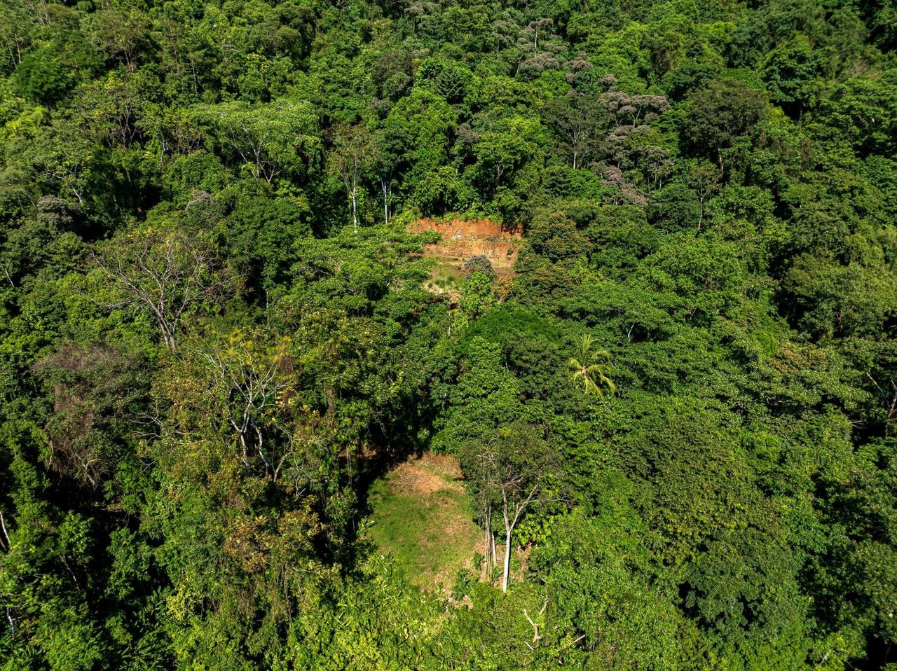 Premier Ocean View Development Land, Manuel Antonio, Puntarenas