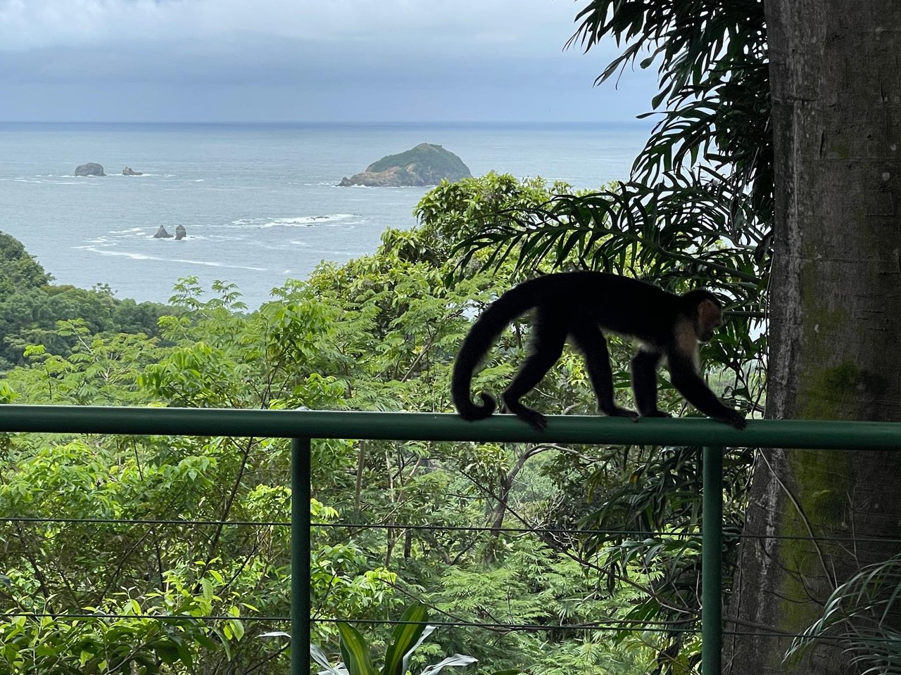 Casa Mono Congo Ocean View