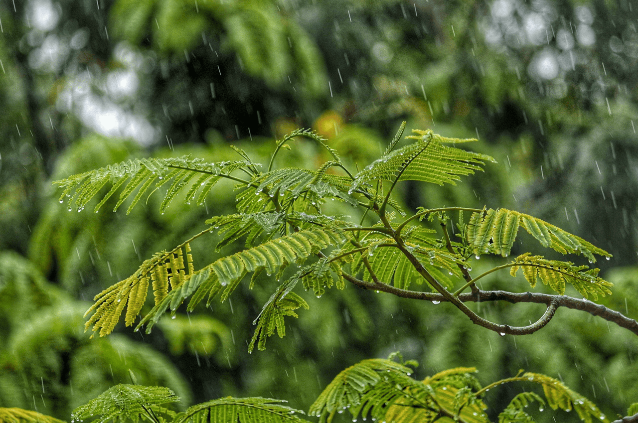 The Storms Continue