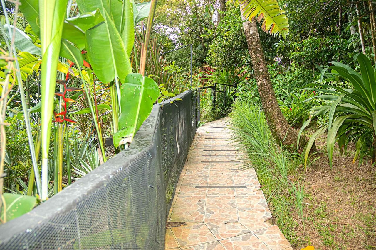 Multi Residence Jungle Compound, Manuel Antonio, Puntarenas