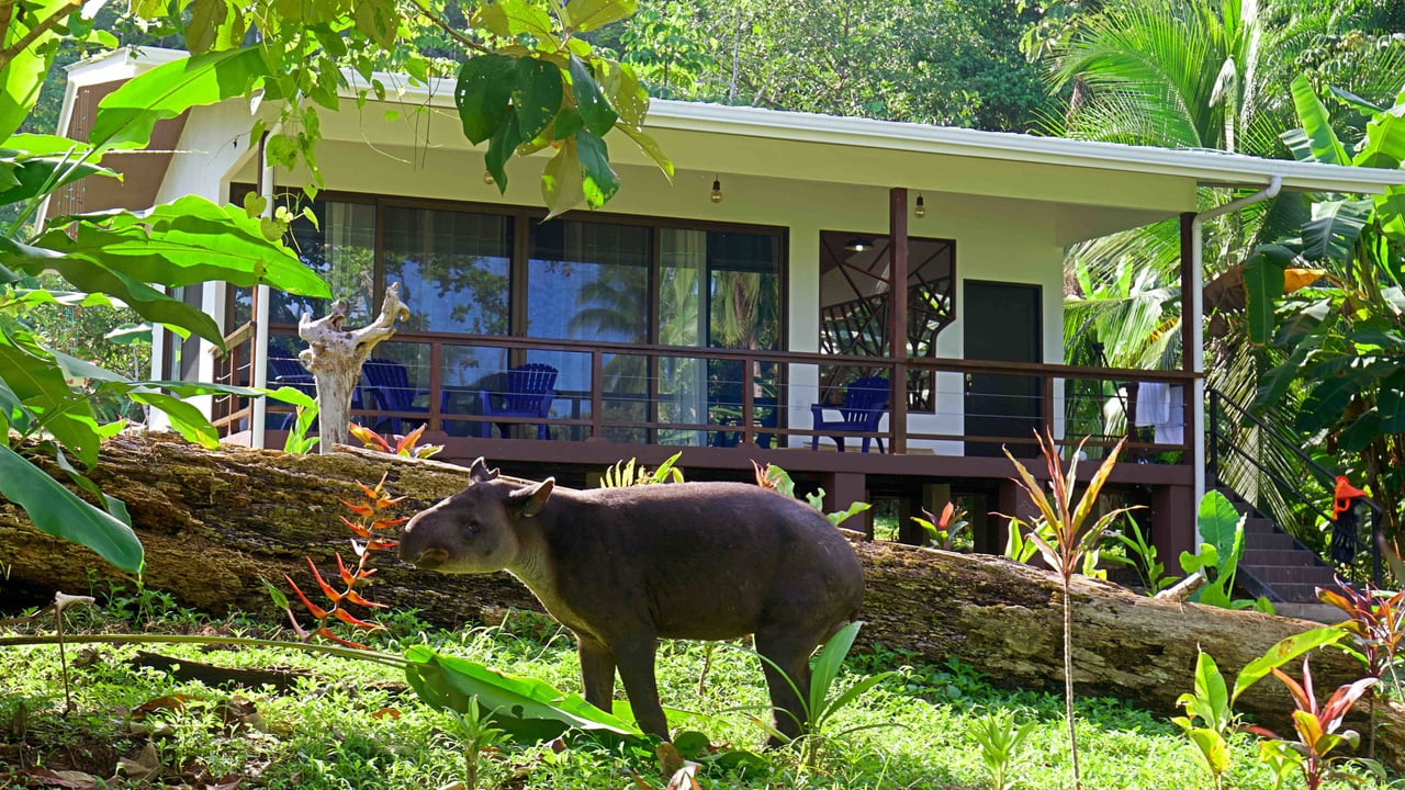  Eden Corcovado, Unique Beachfront from Paradise!