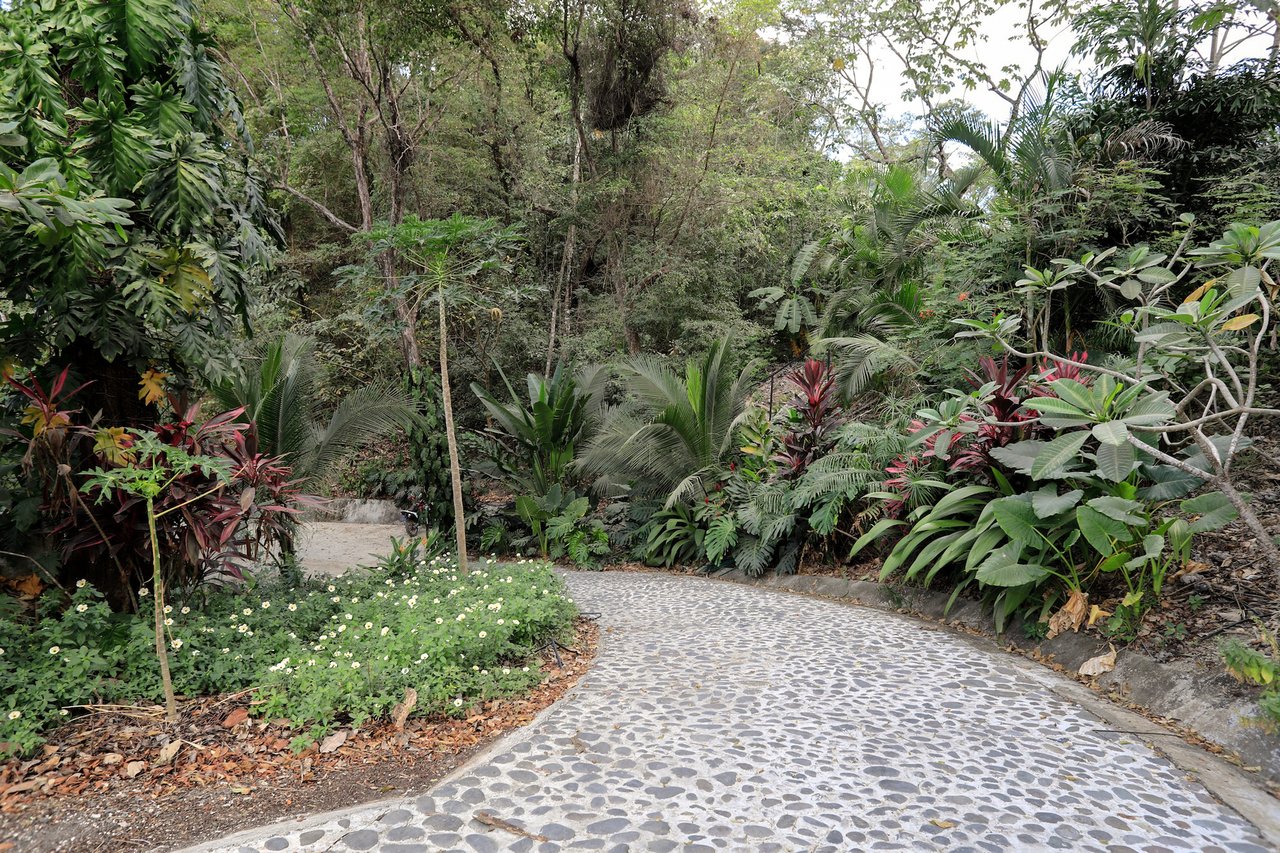 Ocean View Villa and Guest House, Santa Teresa, Puntarenas