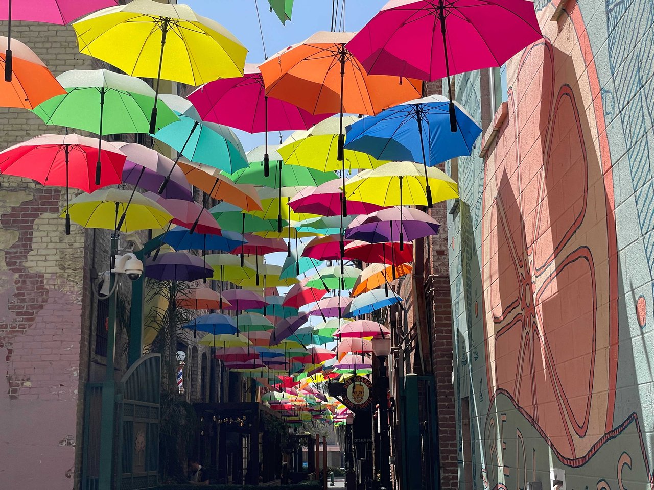 Top 5 Reasons to Live in Redlands, CA by Local top Realtor Cristina Caministeanu