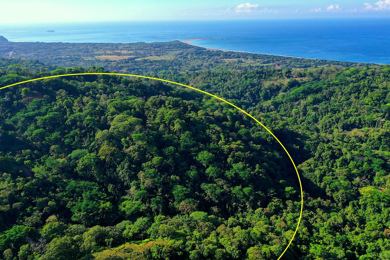 Whale Tail View Development Parcel, Uvita, Puntarenas