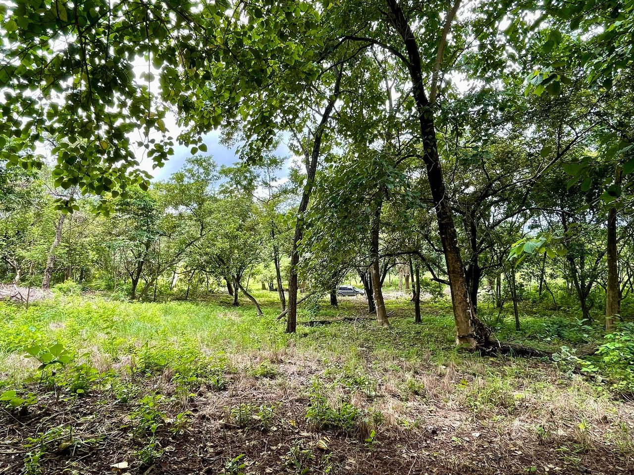 Private Tropical Building Lot, Tamarindo, Guanacaste