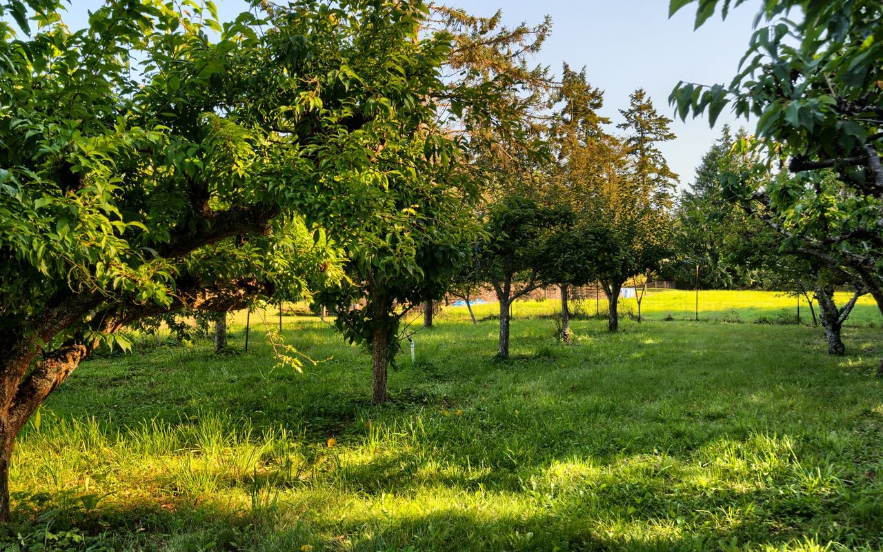 Anacortes Market Update