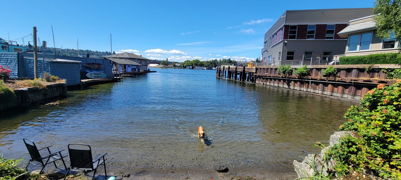 Exploring the Vibrant History and Real Estate Dynamics of Eastlake, Seattle
