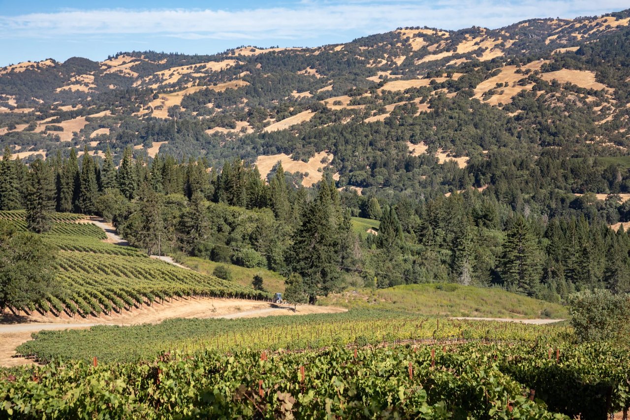 Yorkville Highlands Hillside Vineyard