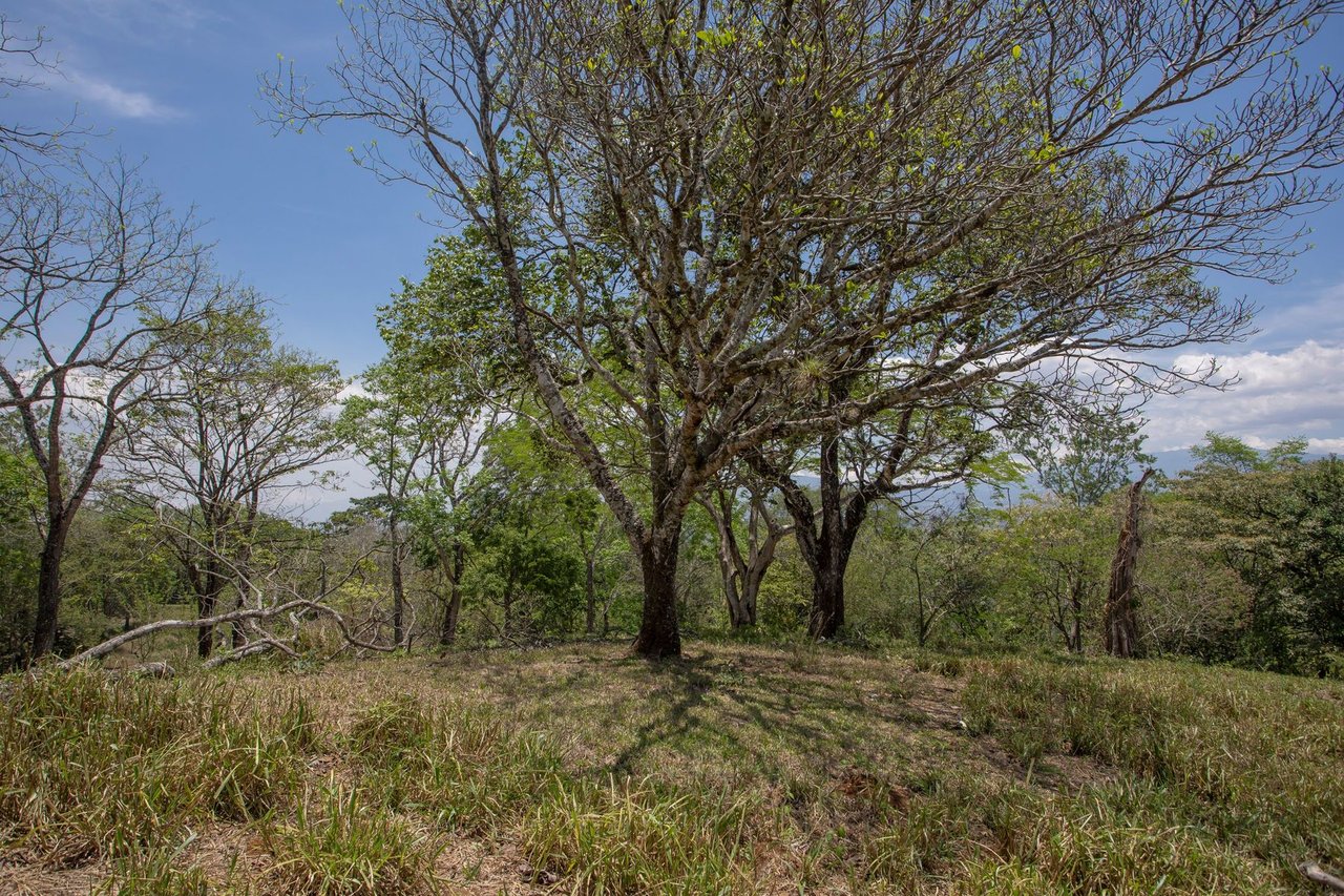 Central Valley View Parcel, Ciudad Colon, San Jose