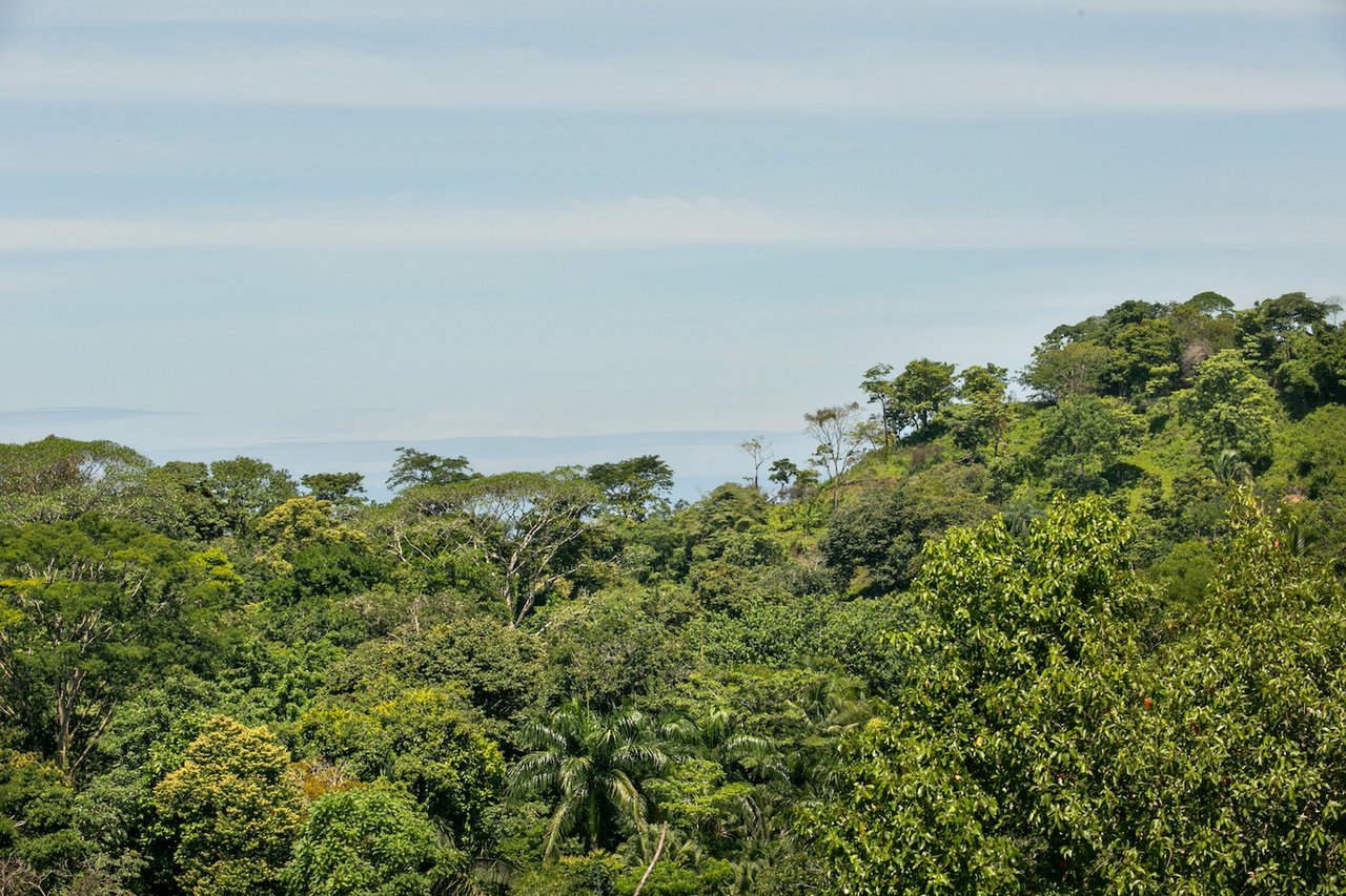 Valley View Home with Pool, Manuel Antonio, Puntarenas