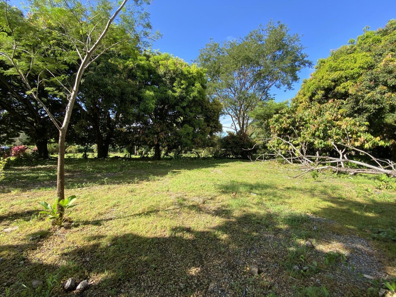 Flat And Usable Commercial Lot In The Heart Of Uvita With 90 Meters Paved Road Frontage!