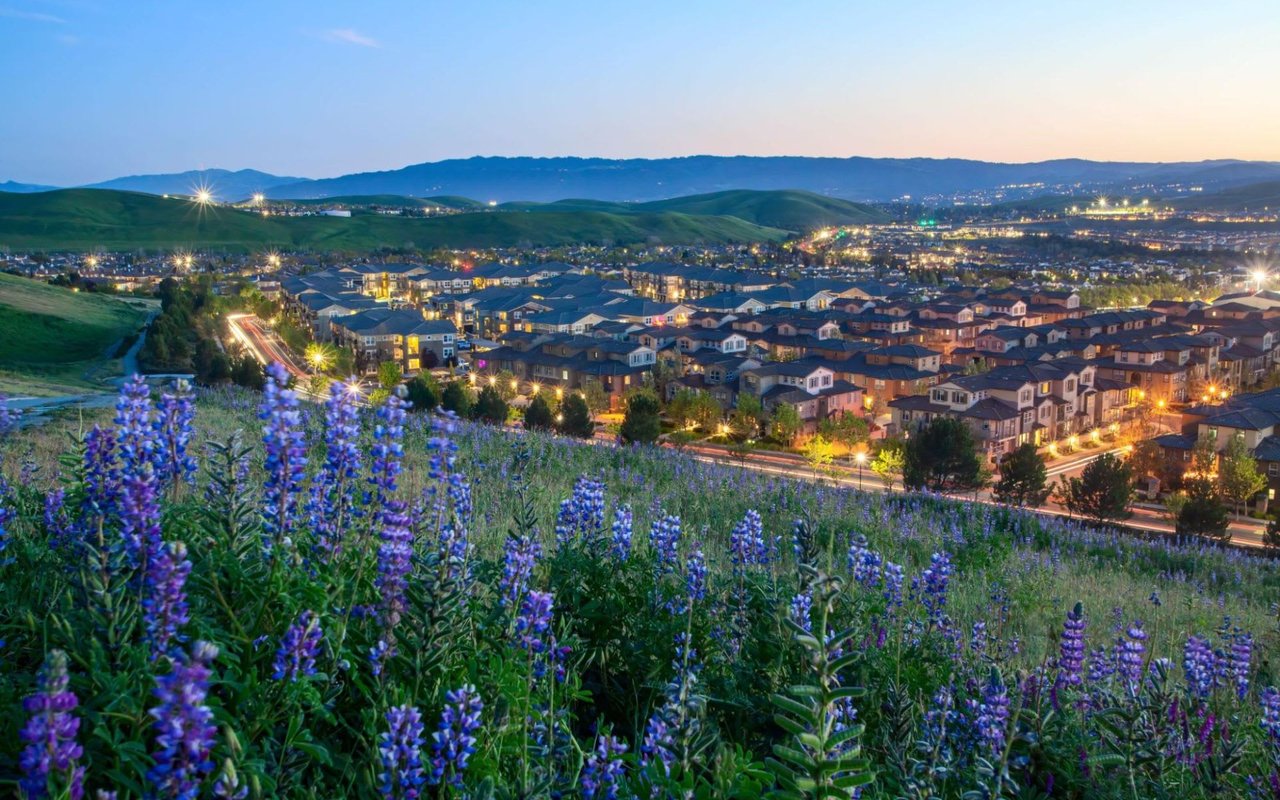 Discover 10 Amazing Year-Round Activities in San Ramon, California