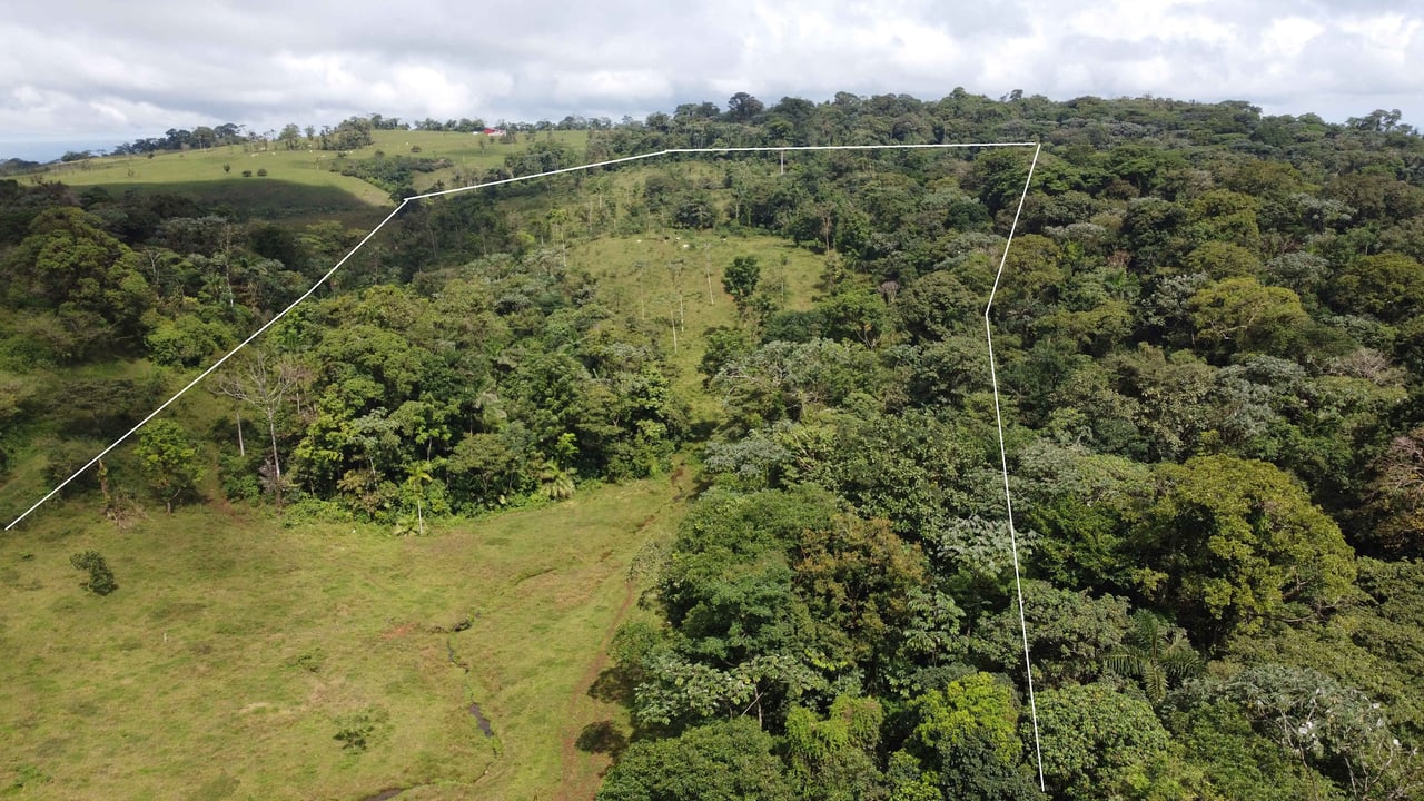 Finca Zapote | The vast 11-hectare property of this paradise is open for exploration and is awaiting your discovery.