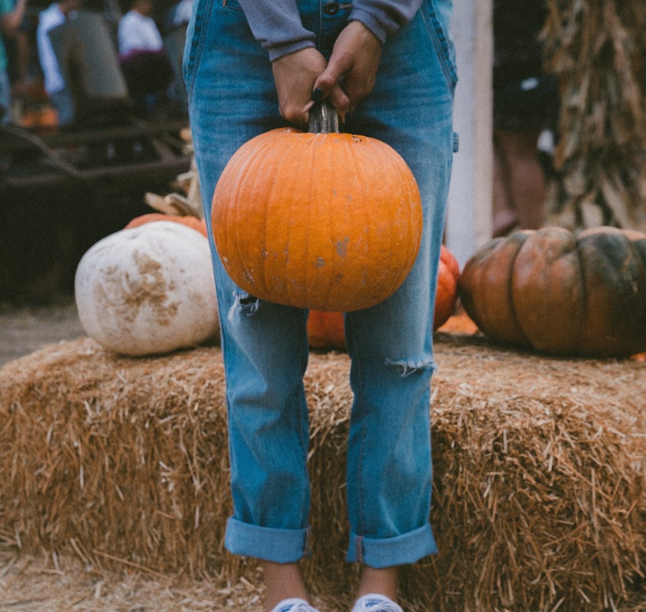 Philly Fall Guide