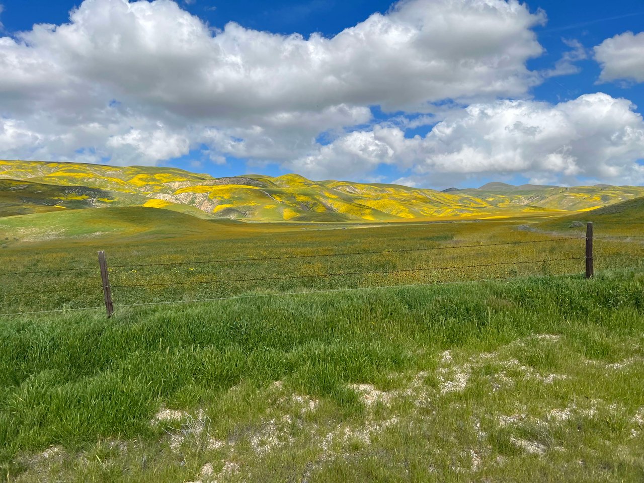 Carrizo Plains