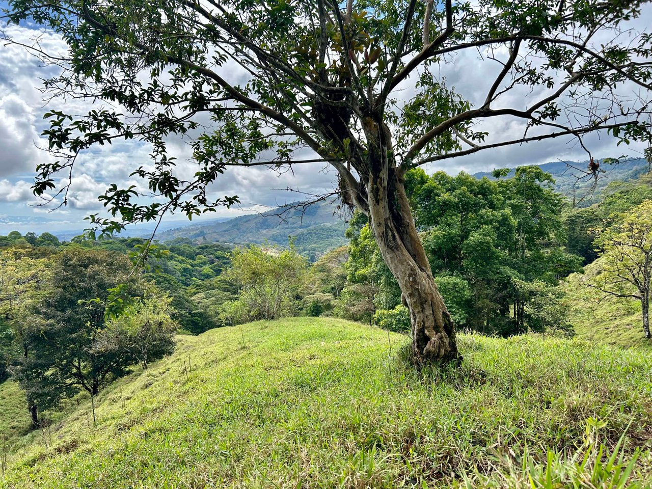 Hidden Gem: Serene Farm Retreat with Majestic Views in Costa Rica