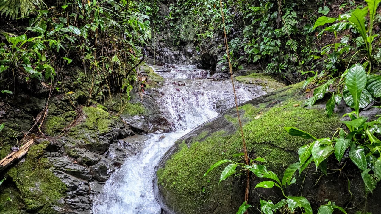 Rainforest Waterfall Acreage Estate, Dominical, Puntarenas