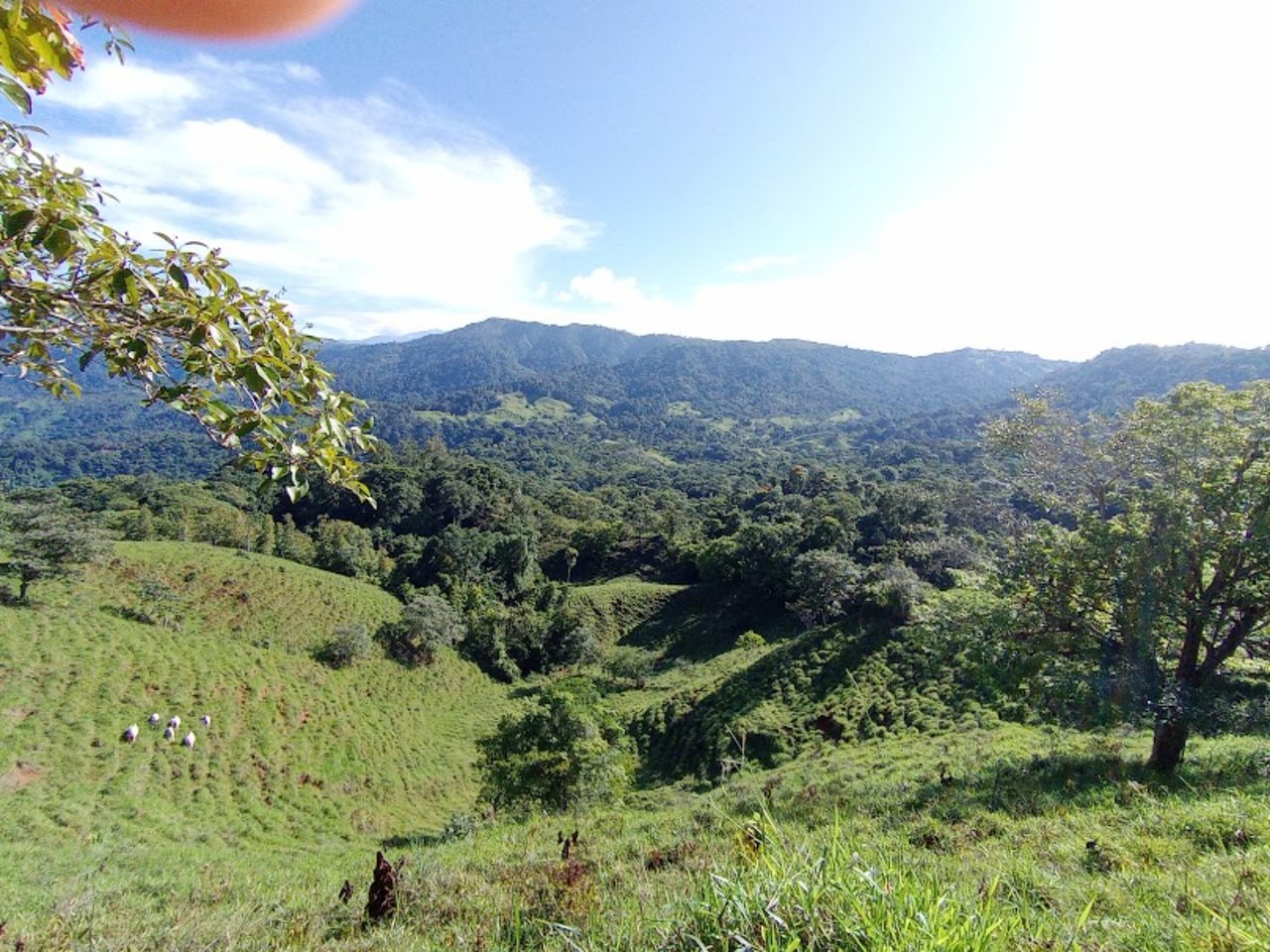 Ocean View Spring Acreage, Perez Zeledon, San Jose