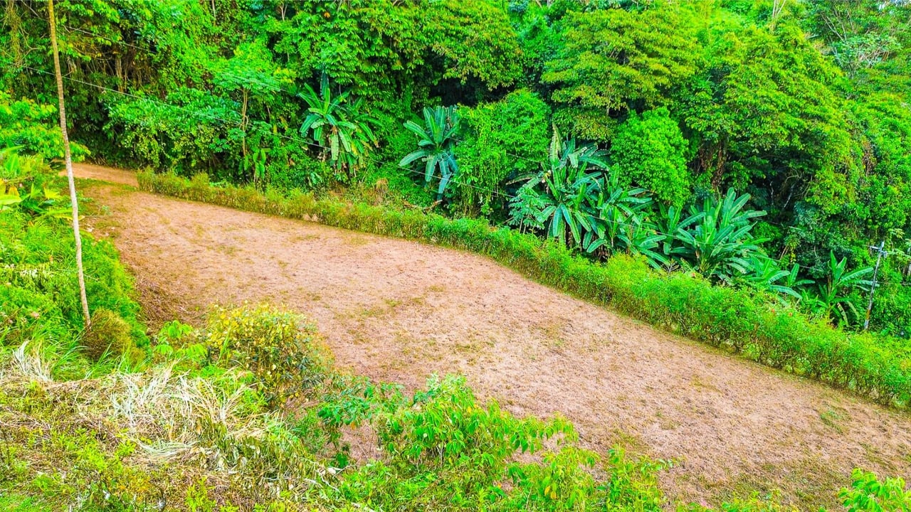 Flat Buildable Ocean View Lot, Ojochal, Puntarenas