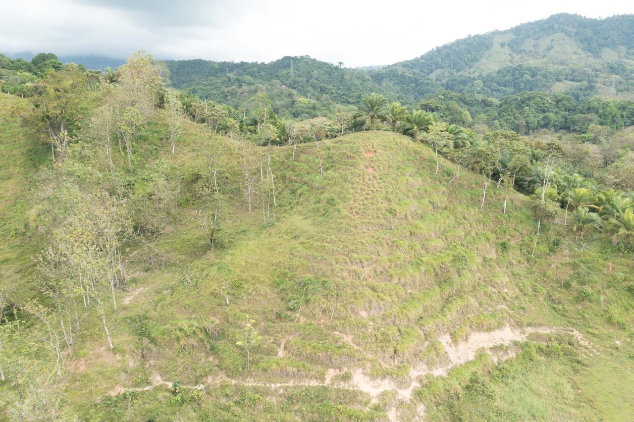 Prime 286-Acre Ocean View Property for Sale Near Quepos, Costa Rica – Ideal for Development