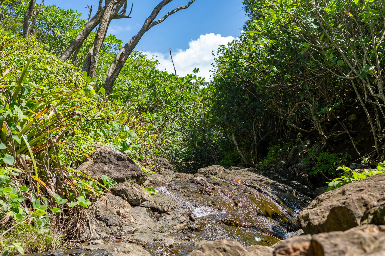 Rare Titled Oceanfront Development Land, Nosara, Guanacaste