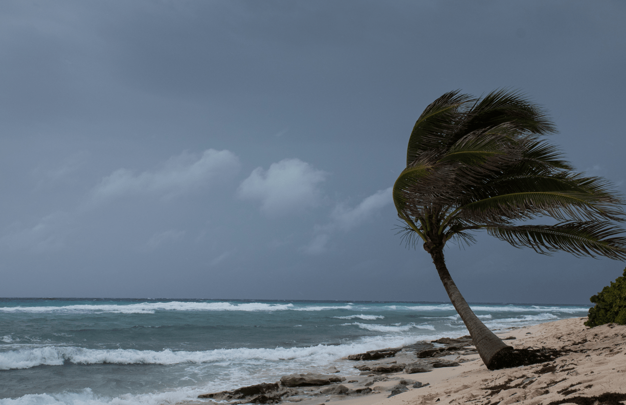 Hurricane Milton Downgraded to Category 4: Tornado Watch Issued for Palm Beach County