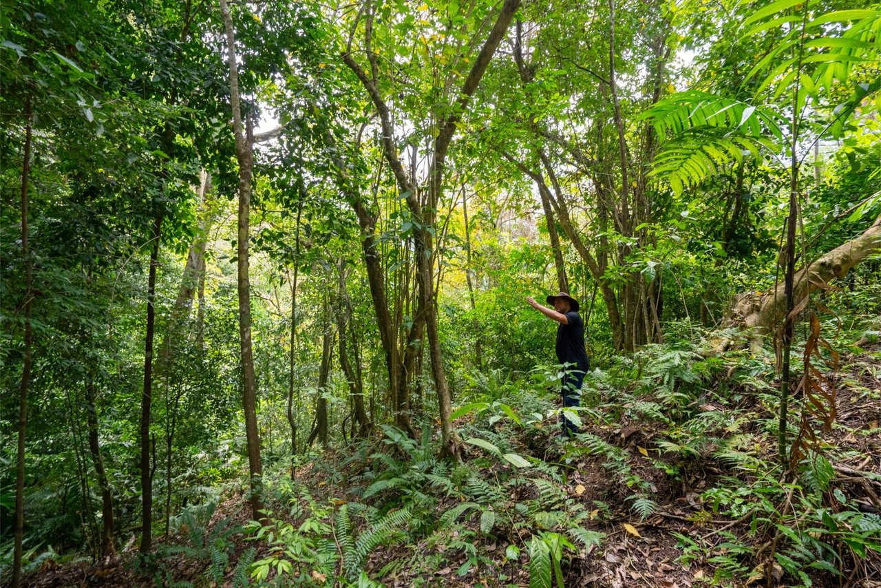 Private Ocean View Development Lot, Dominical, Puntarenas
