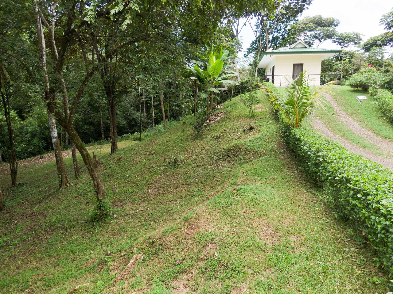  Affordable & Charming 1 bedroom Villa with Pool in gated community, immersed in the rainforest close to Quepos  