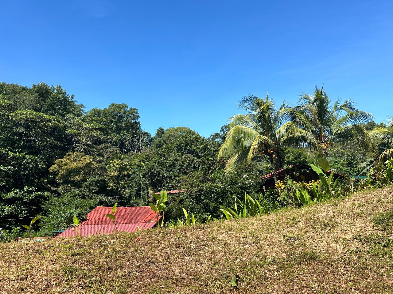 Reasonable Lot for sale in Uvita