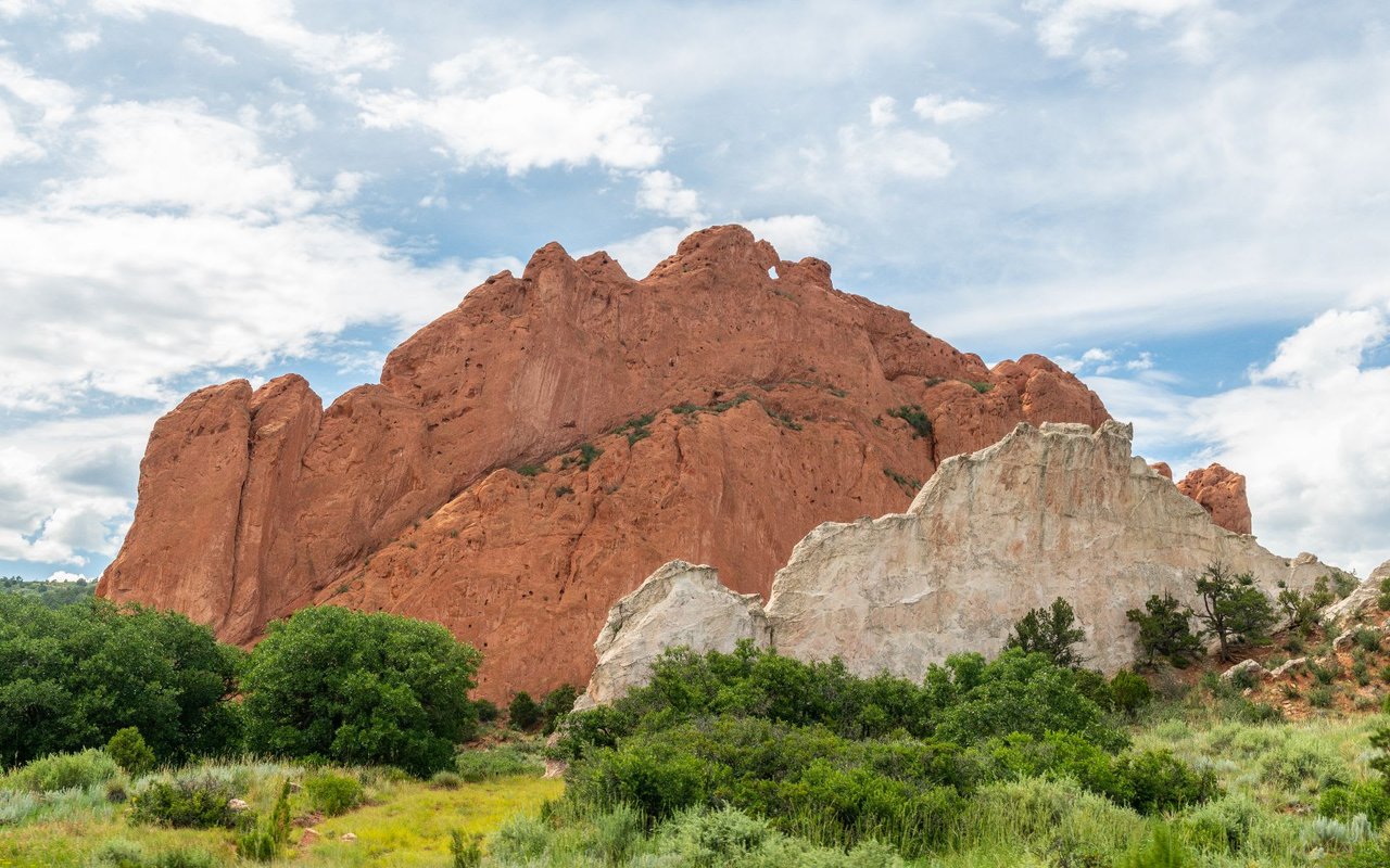 Kissing Camels