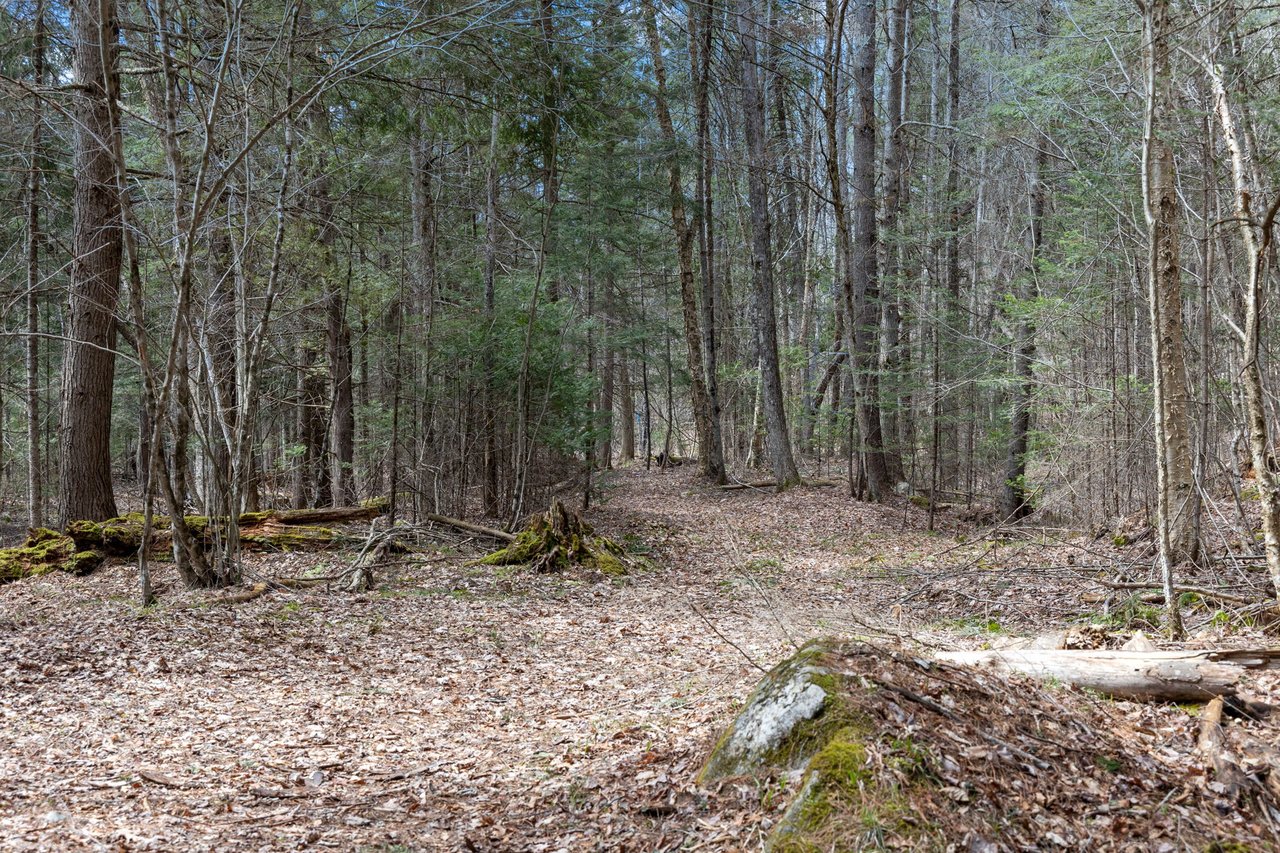 Lot #3 Riverbend Road Bath, NH 03740