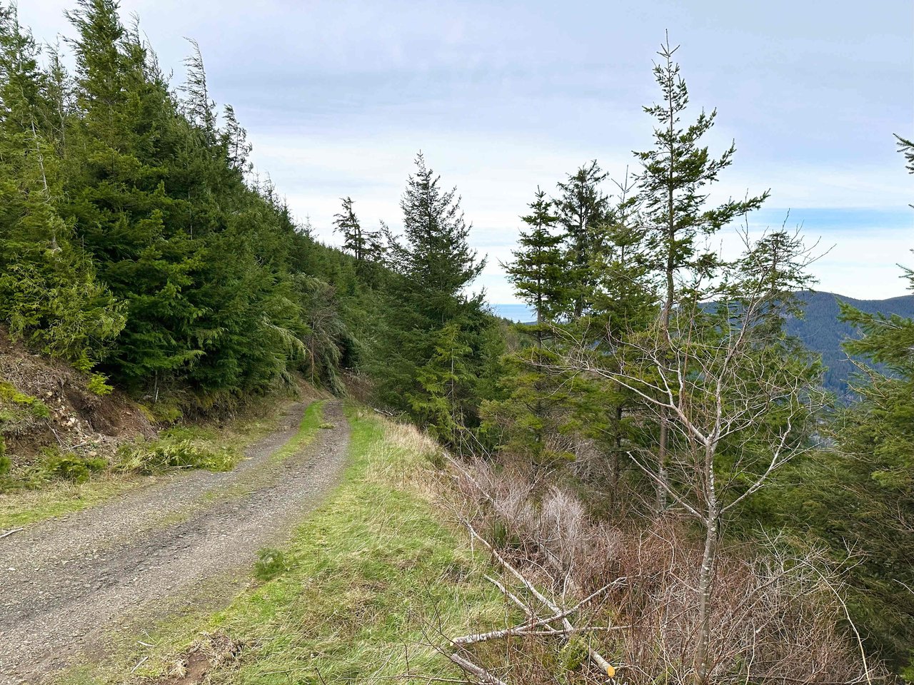 Cummins Creek Wilderness Overlook