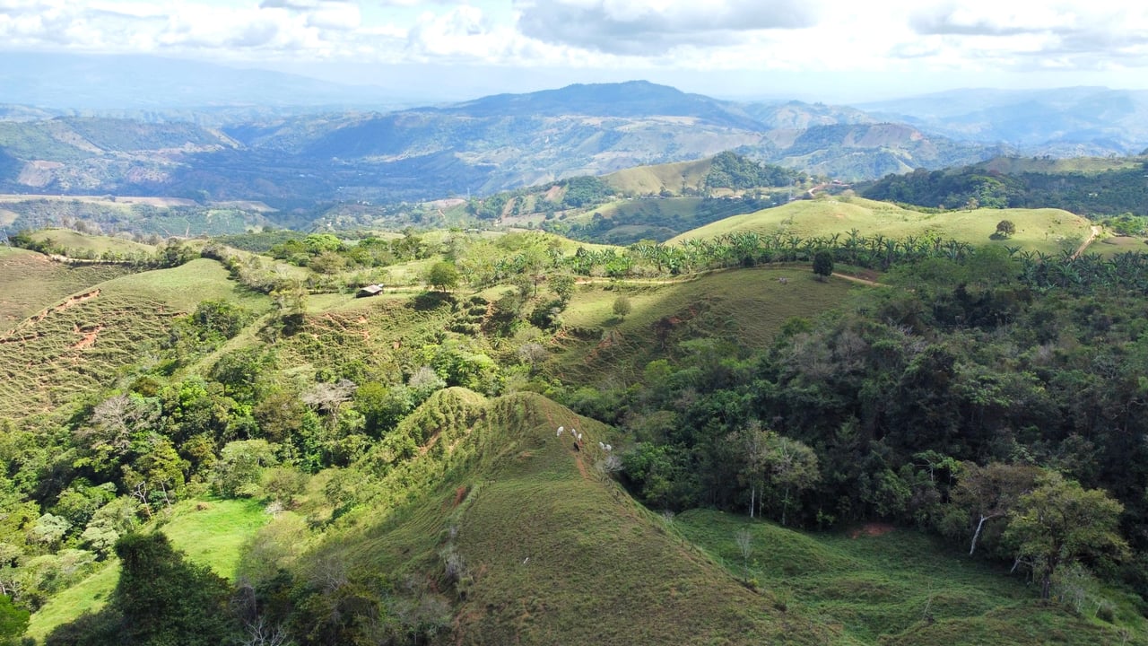 OVER 14 ACRES FARM IN ALTO DE GUADALUPE