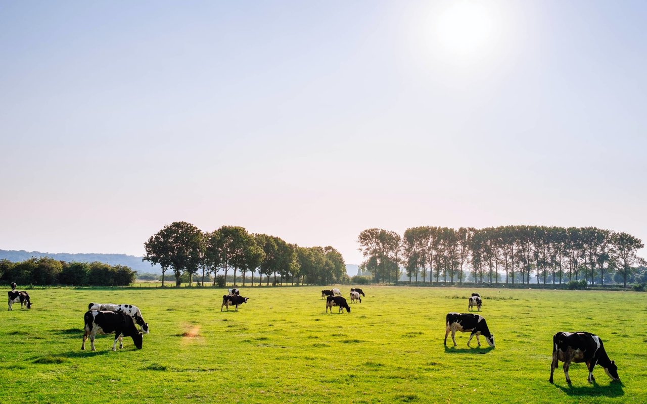 Should You Finance Your Land and Farm Sale?