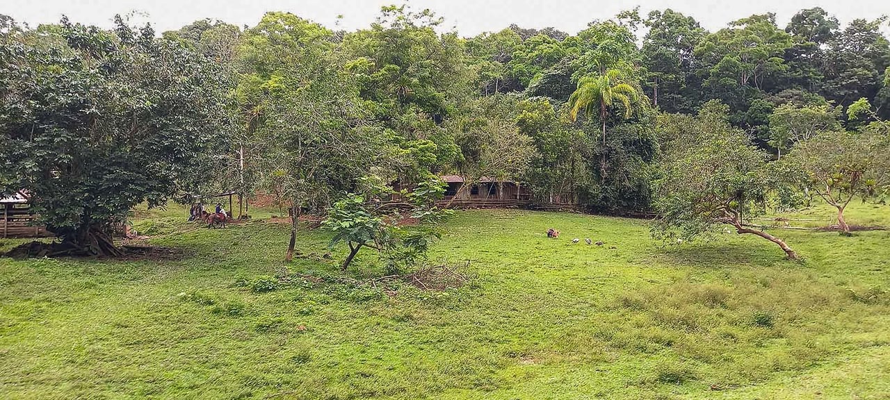 598 Acres With River Frontage Blue Water Views Gentle Rolling Hills and Waterfalls