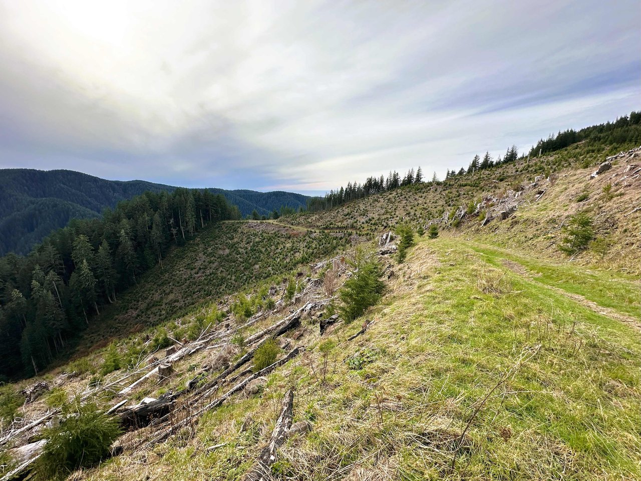 Cummins Creek Wilderness Overlook