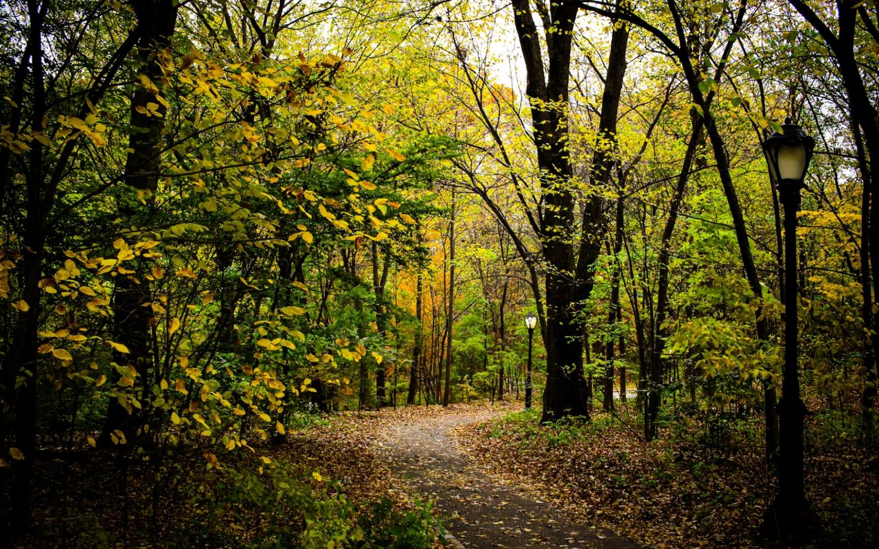 A Guide to Plainview, NY Parks