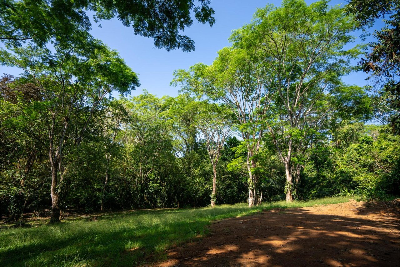 Private Ocean View Development Lot, Dominical, Puntarenas