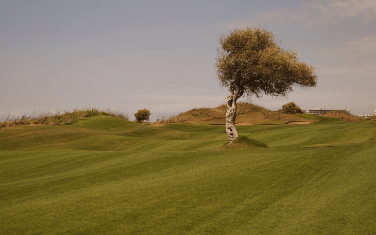Best Golf Courses In Isle Of Palms, SC