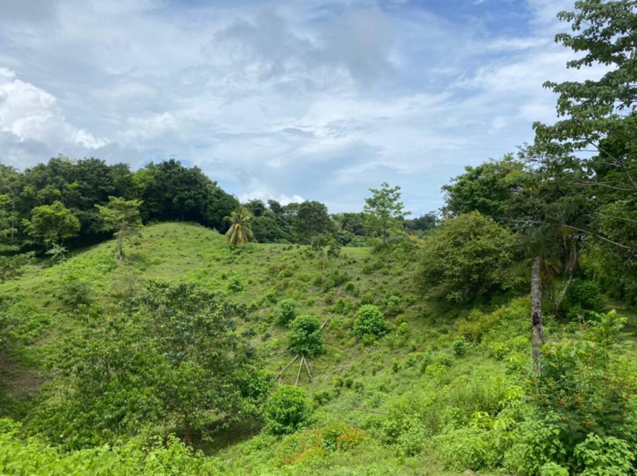 Prime Development Homesite, Manuel Antonio, Puntarenas