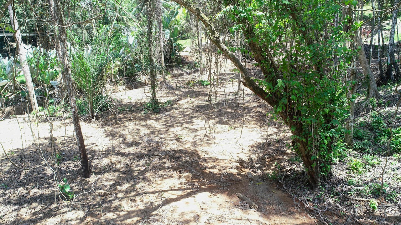 Over One Acre Attractive Lot on the Popular PEREZOSO Road.
