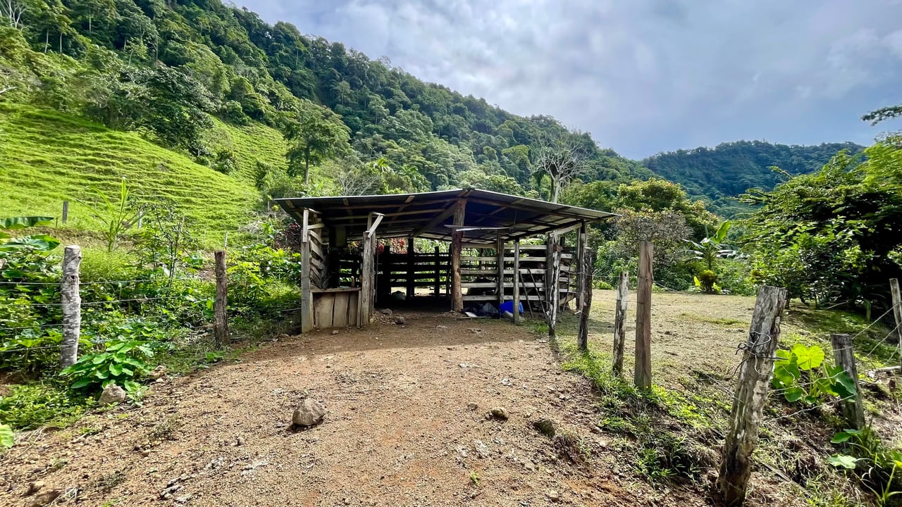 Stunning Ocean View Farm in San Luis de Morete, Over 23 Acres