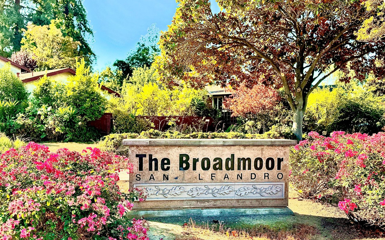 Broadmoor