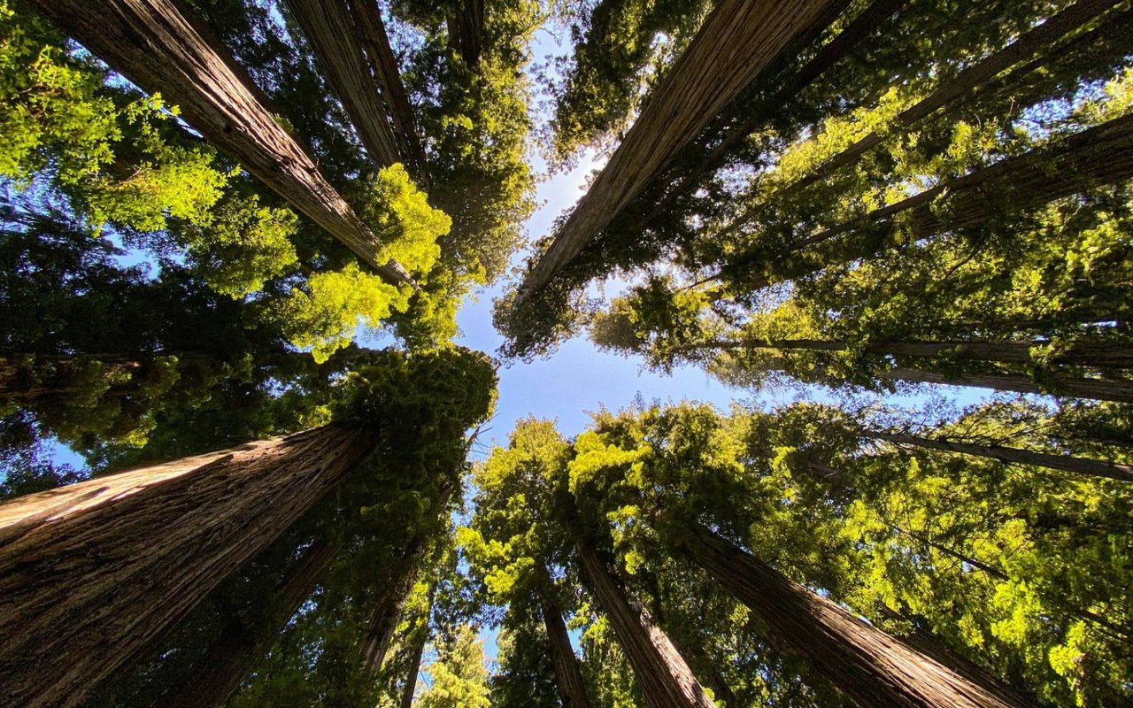 Moving to Los Altos, CA