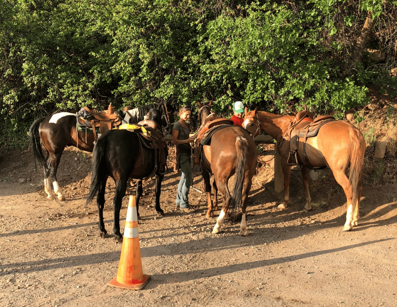 Mosey on Up to Aspen’s Woody Creek Tavern — with Horse Parking 