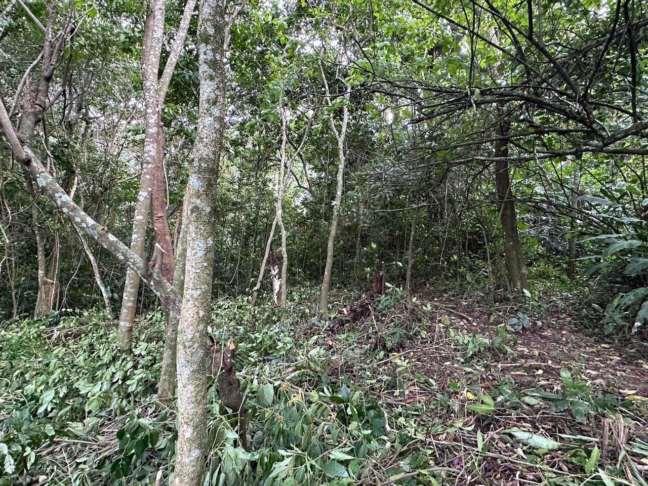 Panoramic View Buildable Land, Escazu, San Jose