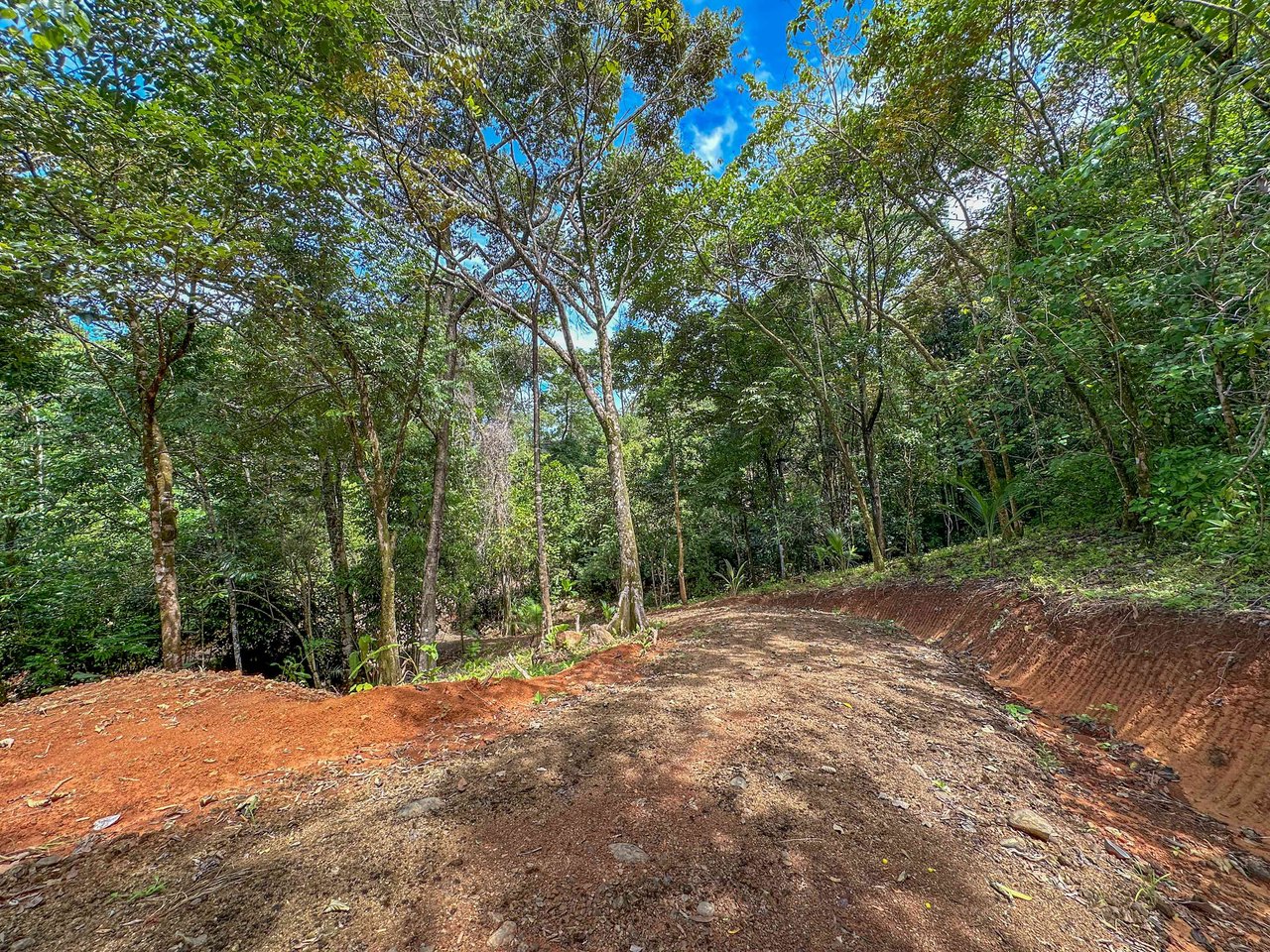 A jungle – and – creek border 1. 6 acre lot in a secure gated community, prepared and ready for your dream home!. 