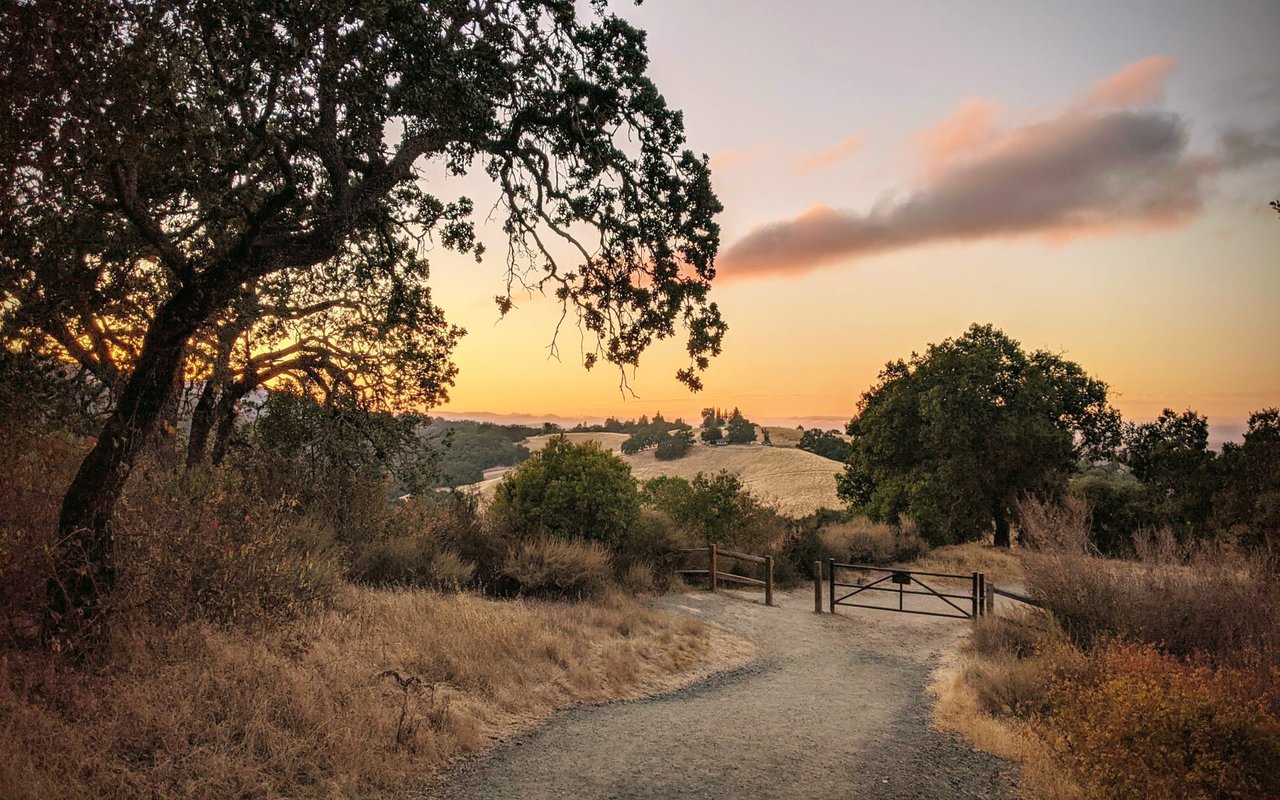 Los Altos & Los Altos Hills